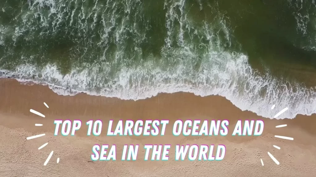 Top 10 Largest Oceans and Sea in the World